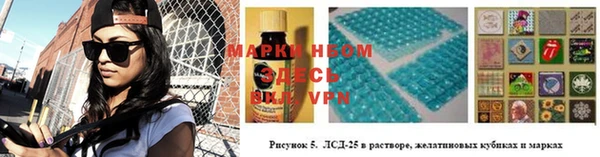 дживик Краснослободск