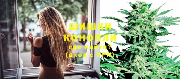 ГАЛЛЮЦИНОГЕННЫЕ ГРИБЫ Корсаков