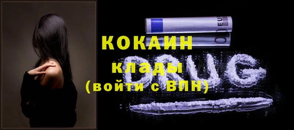 дживик Краснослободск