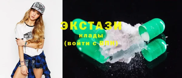 дживик Краснослободск