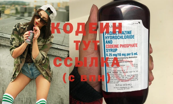 ГАЛЛЮЦИНОГЕННЫЕ ГРИБЫ Корсаков
