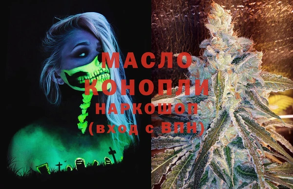 дживик Краснослободск