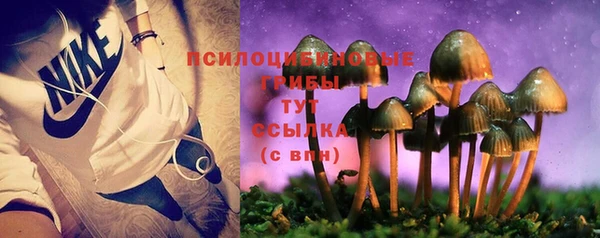 ГАЛЛЮЦИНОГЕННЫЕ ГРИБЫ Корсаков