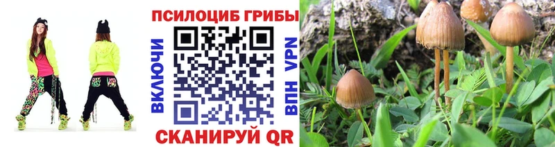 где купить наркоту  Называевск  Галлюциногенные грибы прущие грибы 